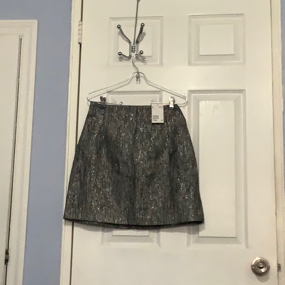 Silver skirt
